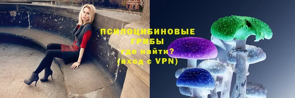 мдпв Инта