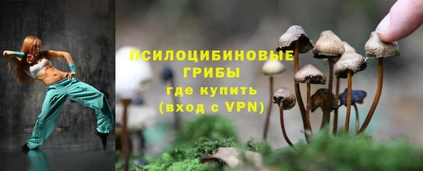 а пвп мука Инсар