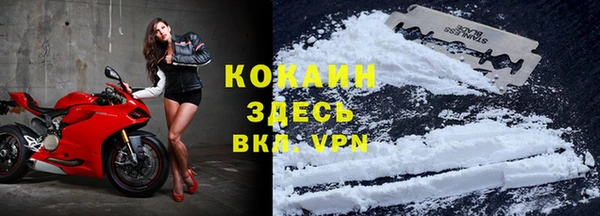мдпв Инта