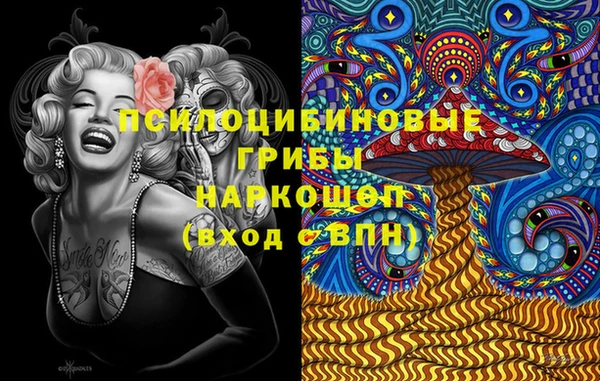 мдпв Инта