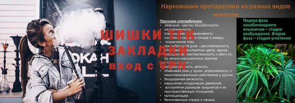 мдпв Инта