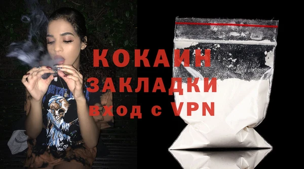 мдпв Инта
