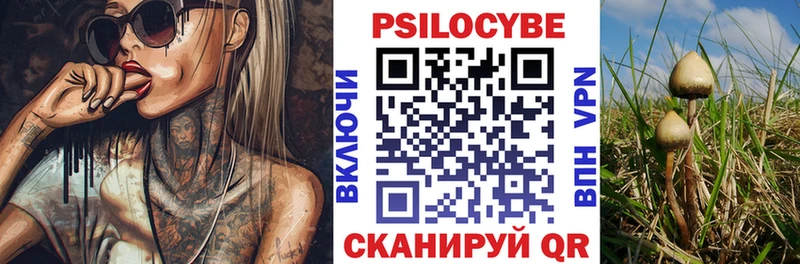 Купить  Вельск  Галлюциногенные грибы мухоморы 