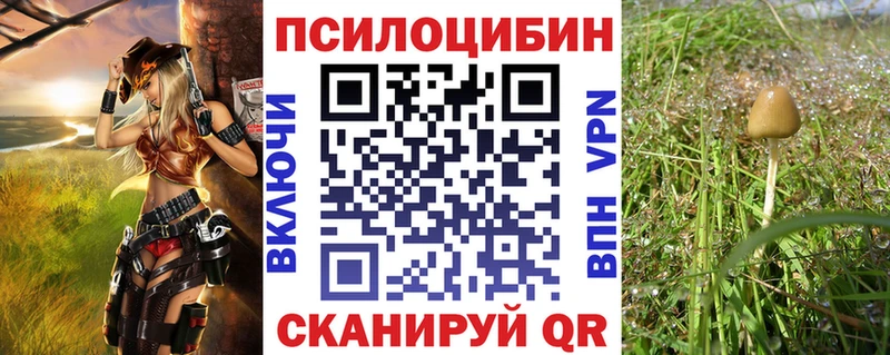 Галлюциногенные грибы мухоморы Вельск